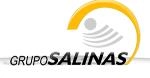 Grupo Salinas — cliente de EMSI