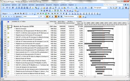 Modelo de Proyectos MS Project Server