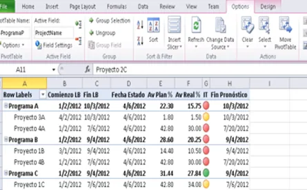 MS Project Server Pemex Rn
